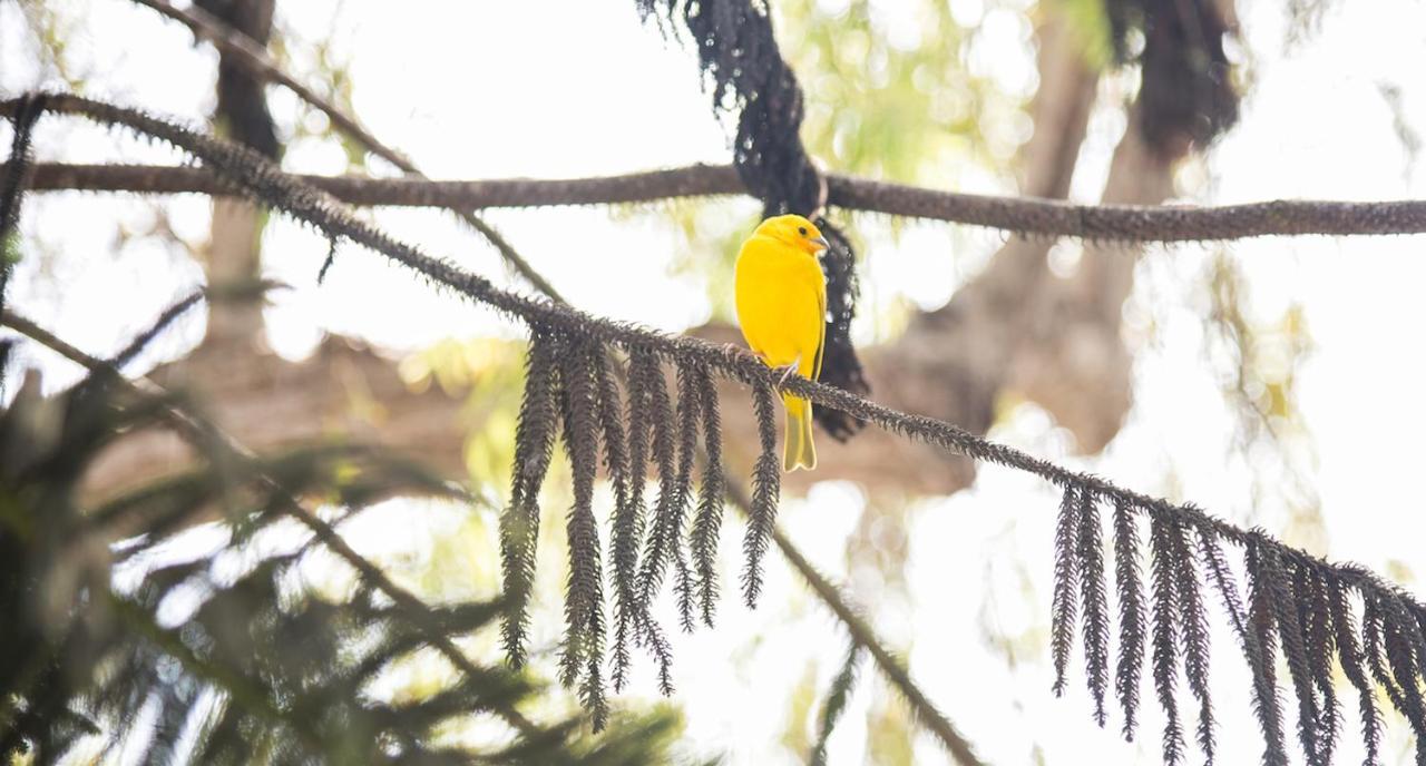 Dragonfly Hostels Barrancoリマ エクステリア 写真