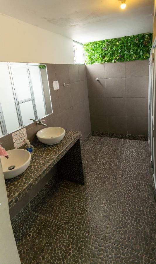 Dragonfly Hostels Barrancoリマ エクステリア 写真